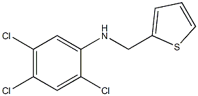 2,4,5-trichloro-N-(thiophen-2-ylmethyl)aniline|