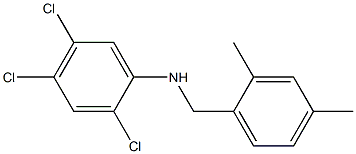 2,4,5-trichloro-N-[(2,4-dimethylphenyl)methyl]aniline Struktur