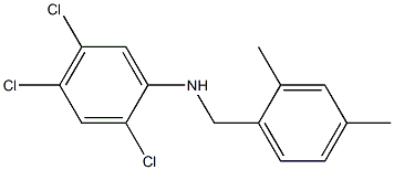 2,4,5-trichloro-N-[(2,4-dimethylphenyl)methyl]aniline