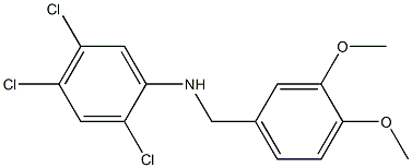 2,4,5-trichloro-N-[(3,4-dimethoxyphenyl)methyl]aniline 结构式