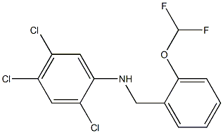 2,4,5-trichloro-N-{[2-(difluoromethoxy)phenyl]methyl}aniline