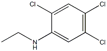 2,4,5-trichloro-N-ethylaniline Structure