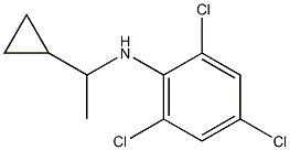 2,4,6-trichloro-N-(1-cyclopropylethyl)aniline 结构式