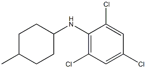  2,4,6-trichloro-N-(4-methylcyclohexyl)aniline