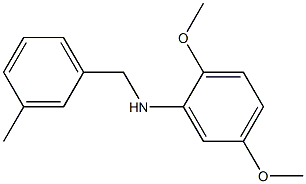 2,5-dimethoxy-N-[(3-methylphenyl)methyl]aniline,,结构式