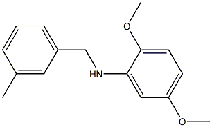  2,5-dimethoxy-N-[(3-methylphenyl)methyl]aniline