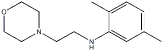 2,5-dimethyl-N-[2-(morpholin-4-yl)ethyl]aniline 化学構造式