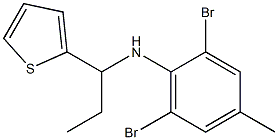 2,6-dibromo-4-methyl-N-[1-(thiophen-2-yl)propyl]aniline Struktur