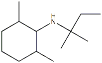 2,6-dimethyl-N-(2-methylbutan-2-yl)cyclohexan-1-amine 化学構造式