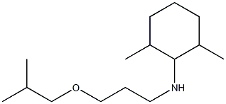2,6-dimethyl-N-[3-(2-methylpropoxy)propyl]cyclohexan-1-amine