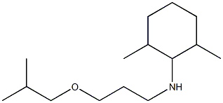 2,6-dimethyl-N-[3-(2-methylpropoxy)propyl]cyclohexan-1-amine|