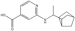 2-[(1-{bicyclo[2.2.1]heptan-2-yl}ethyl)amino]pyridine-4-carboxylic acid