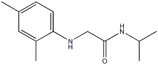 2-[(2,4-dimethylphenyl)amino]-N-(propan-2-yl)acetamide,,结构式