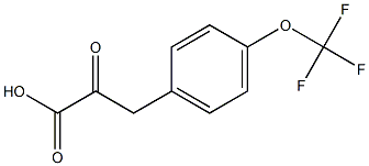 2-oxo-3-[4-(trifluoromethoxy)phenyl]propanoic acid Struktur