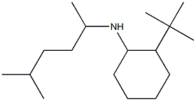 2-tert-butyl-N-(5-methylhexan-2-yl)cyclohexan-1-amine,,结构式