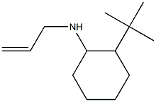2-tert-butyl-N-(prop-2-en-1-yl)cyclohexan-1-amine,,结构式