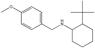 2-tert-butyl-N-[(4-methoxyphenyl)methyl]cyclohexan-1-amine