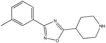 3-(3-methylphenyl)-5-(piperidin-4-yl)-1,2,4-oxadiazole 化学構造式