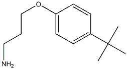 3-(4-tert-butylphenoxy)propan-1-amine Structure