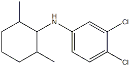 3,4-dichloro-N-(2,6-dimethylcyclohexyl)aniline Struktur