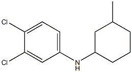 3,4-dichloro-N-(3-methylcyclohexyl)aniline 化学構造式