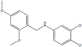 3,4-dichloro-N-[(2,4-dimethoxyphenyl)methyl]aniline 化学構造式