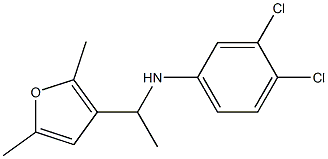  3,4-dichloro-N-[1-(2,5-dimethylfuran-3-yl)ethyl]aniline