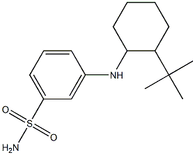 3-[(2-tert-butylcyclohexyl)amino]benzene-1-sulfonamide,,结构式