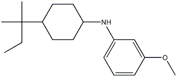 3-methoxy-N-[4-(2-methylbutan-2-yl)cyclohexyl]aniline 结构式