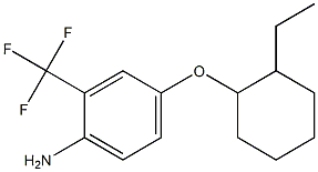 4-[(2-ethylcyclohexyl)oxy]-2-(trifluoromethyl)aniline Struktur