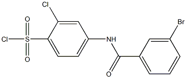 4-[(3-bromobenzene)amido]-2-chlorobenzene-1-sulfonyl chloride,,结构式