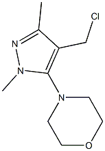 4-[4-(chloromethyl)-1,3-dimethyl-1H-pyrazol-5-yl]morpholine