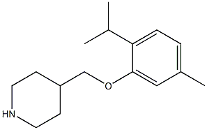 4-[5-methyl-2-(propan-2-yl)phenoxymethyl]piperidine 结构式