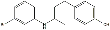 4-{3-[(3-bromophenyl)amino]butyl}phenol