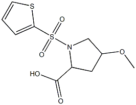 4-methoxy-1-(thien-2-ylsulfonyl)pyrrolidine-2-carboxylic acid