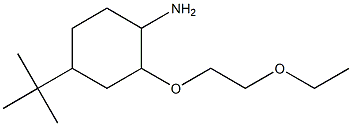 4-tert-butyl-2-(2-ethoxyethoxy)cyclohexan-1-amine,,结构式