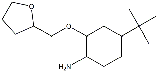 4-tert-butyl-2-(oxolan-2-ylmethoxy)cyclohexan-1-amine 结构式