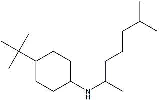 4-tert-butyl-N-(6-methylheptan-2-yl)cyclohexan-1-amine Structure