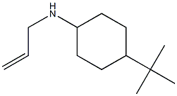 4-tert-butyl-N-(prop-2-en-1-yl)cyclohexan-1-amine,,结构式
