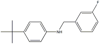 4-tert-butyl-N-[(3-fluorophenyl)methyl]aniline,,结构式