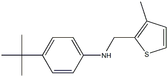 4-tert-butyl-N-[(3-methylthiophen-2-yl)methyl]aniline,,结构式