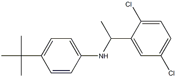 4-tert-butyl-N-[1-(2,5-dichlorophenyl)ethyl]aniline Structure