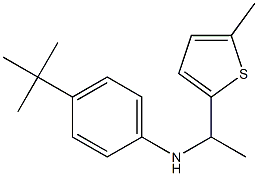 4-tert-butyl-N-[1-(5-methylthiophen-2-yl)ethyl]aniline Structure