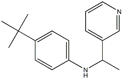 4-tert-butyl-N-[1-(pyridin-3-yl)ethyl]aniline,,结构式