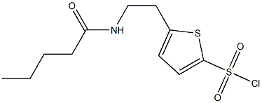 5-[2-(pentanoylamino)ethyl]thiophene-2-sulfonyl chloride Structure
