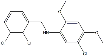  5-chloro-N-[(2,3-dichlorophenyl)methyl]-2,4-dimethoxyaniline