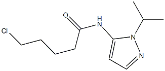 5-chloro-N-[1-(propan-2-yl)-1H-pyrazol-5-yl]pentanamide Struktur