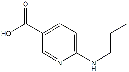 6-(propylamino)pyridine-3-carboxylic acid Structure