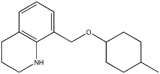 8-{[(4-methylcyclohexyl)oxy]methyl}-1,2,3,4-tetrahydroquinoline|