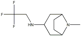 8-methyl-N-(2,2,2-trifluoroethyl)-8-azabicyclo[3.2.1]octan-3-amine Structure